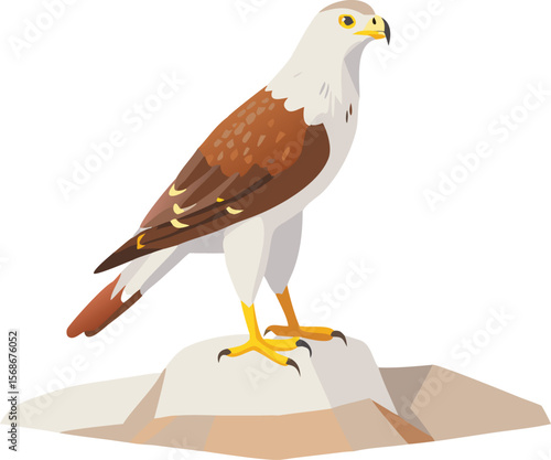 A ferruginous hawk with feathered legs, perched on a fence post.