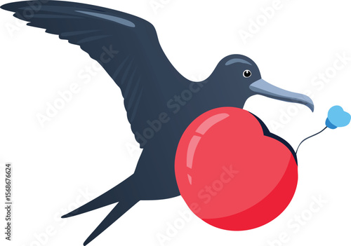 A magnificent frigatebird in flight, its throat pouch fully inflated and red.
