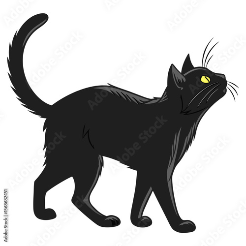 Black cat looking up feline domestic cat