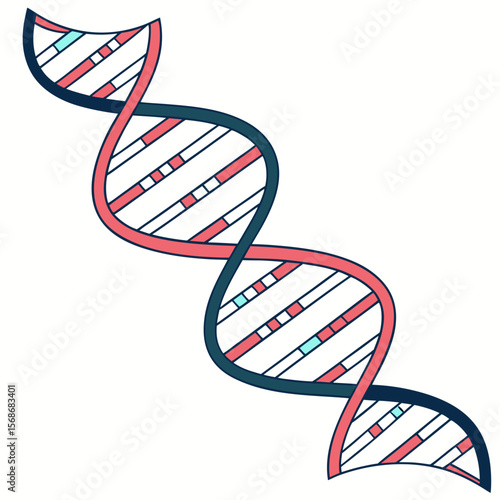 D N A double helix with coral and teal accents science