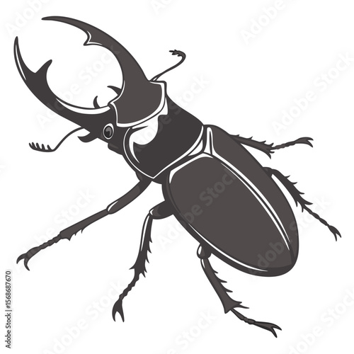Stag beetle with large mandibles insect arthropod