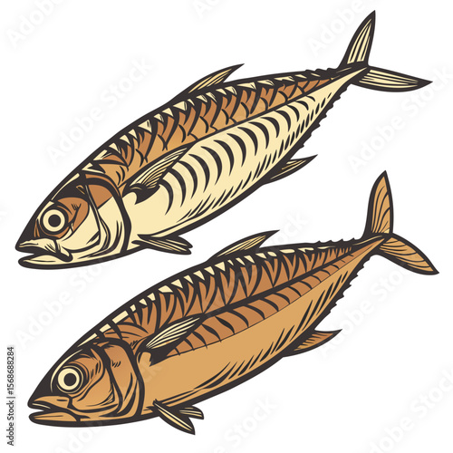 Two smoked fish illustration seafood food