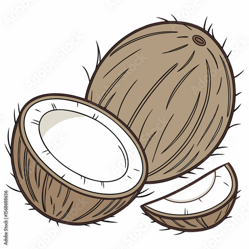 Whole and halved brown coconuts with white flesh tropical fruit
