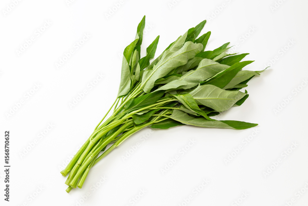 Fototapeta premium 空芯菜