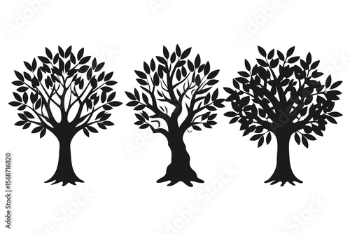 set of Olive Tree vector silhouette illustration isolated on white background