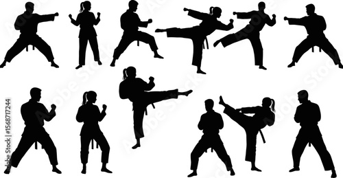 Karate martial arts silhouettes vector illustration training fitness self defense black and white design 100