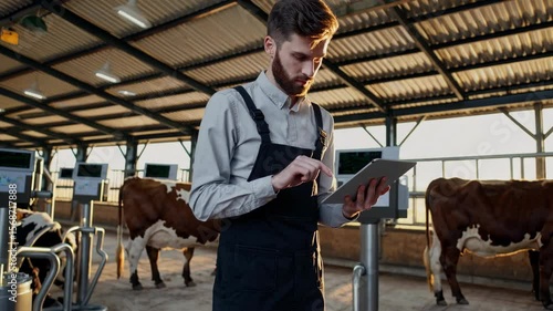 Young smart farmer using smart device management in the cow livestock. Technology innovations for increasing productivity