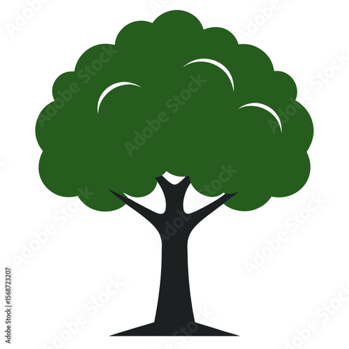 Poplar tree vector silhouette illustration isolated on white background