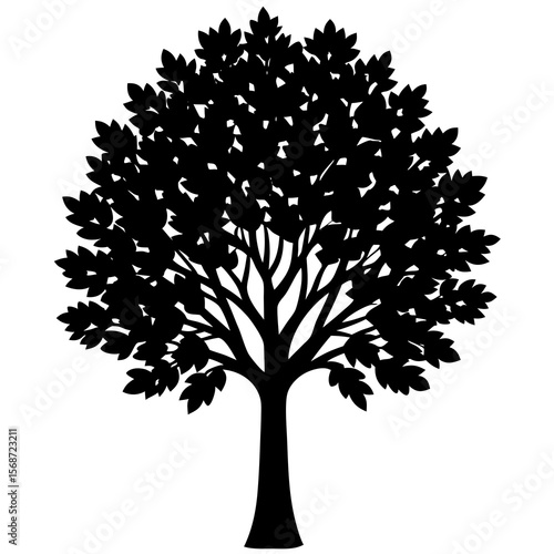 Poplar tree vector silhouette illustration isolated on white background