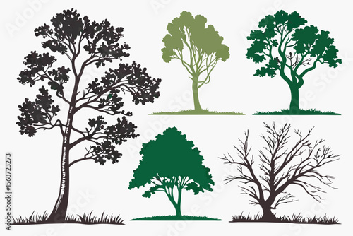set of Poplar tree vector silhouette illustration isolated on white background