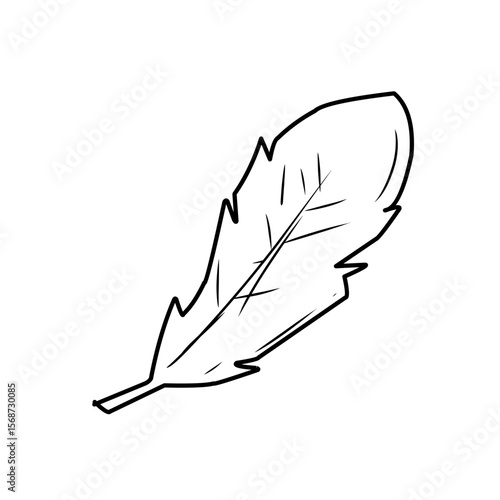 Hand drawn Doodle feathers