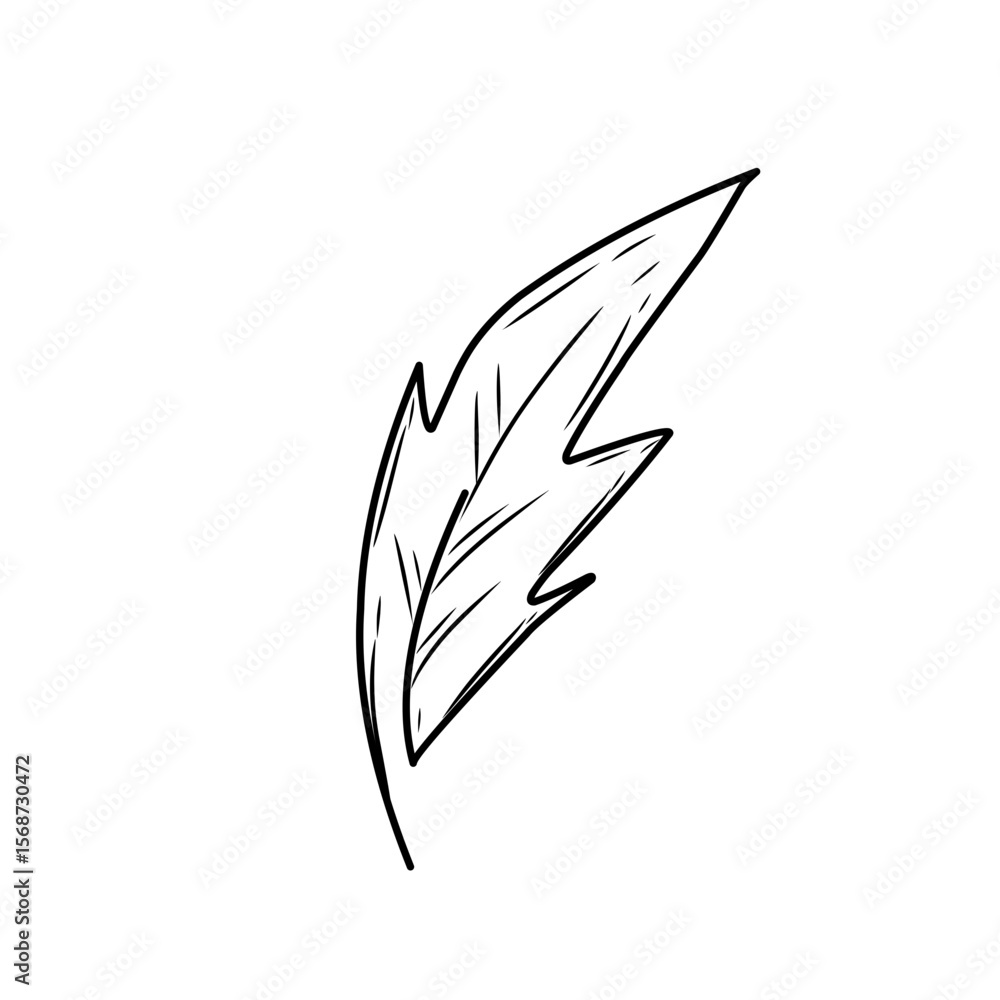 Obraz premium Hand drawn Doodle feathers