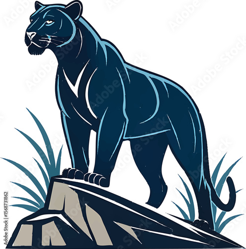 Majestic black panther standing on rock feline wild cat