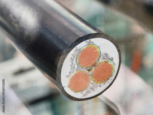 Fototapet Power electric cable cross section reveals intricate design of conductive materi