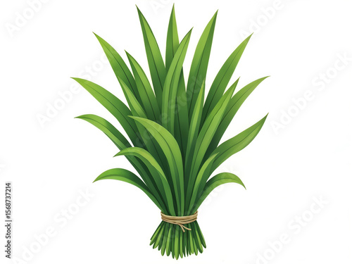Fresh pandan leaves tied in a bundle, commonly used in cooking, aroma, and traditional recipes. Generative AI
