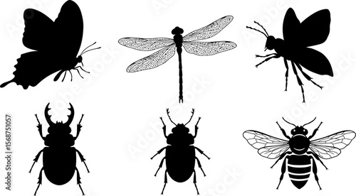 Vector insects silhouette collection butterfly dragonfly beetle bee wasp illustration art design