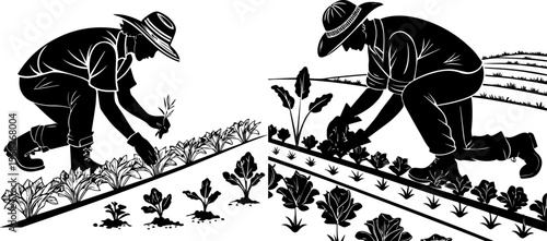 Silhouetted Farmers Tending Crops: Planting and Cultivation in Agriculture
