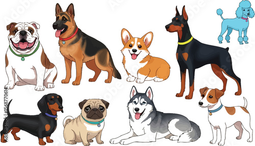Illustration of various dog breeds including bulldog poodle husky corgi