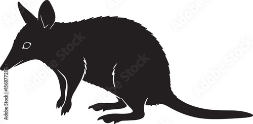 Black silhouette of a bilby or bandicoot animal on a white background