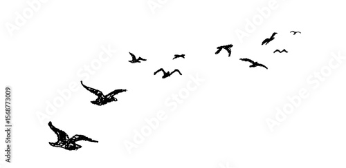 Silhouette of birds flying away. Shadow of flock of birds flying high in the sky drawn with wax pencil or pastel. Graphic element written with black charcoal pen. Vector illustration of simple bird
