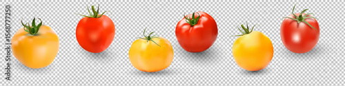 Tomato set. Red tomato collection. Photo-realistic vector tomatoes on transparent background.