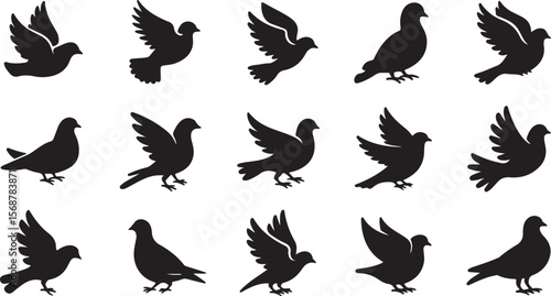 Black Silhouette Vector Pigeons in Various Poses Flying and Standing Collection of Bird Icons Graphic Design Elements