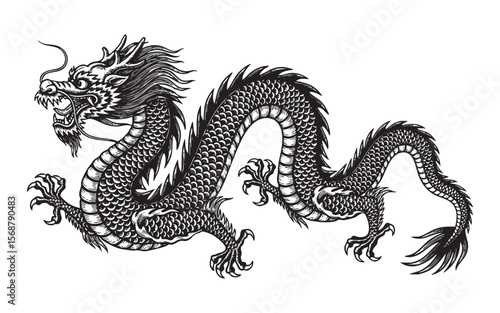 Traditional Chinese Dragon Vector Engraving Illustration