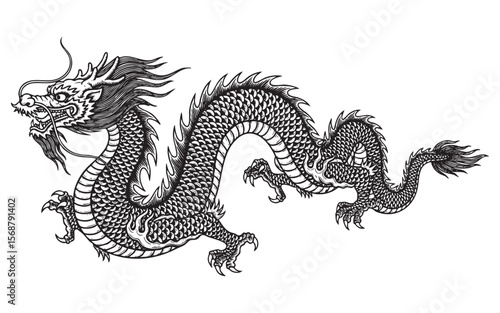 Traditional Chinese Dragon Vector Engraving Illustration