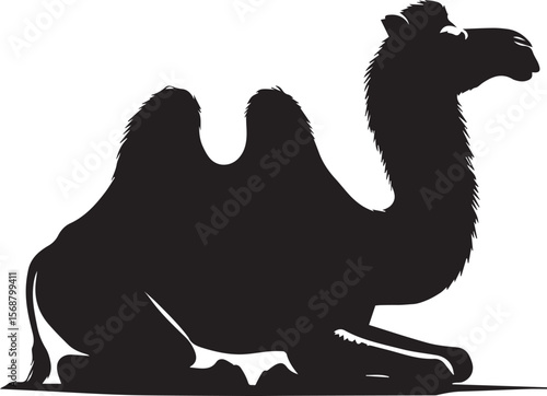 black logo camel is sitting vector, logo camel is sitting vector illustration