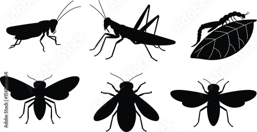 Collection of black silhouette vector bug life on leaf and airborne pests ideal for agriculture and infestation design