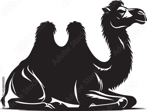 black logo camel is sitting vector, logo camel is sitting vector illustration