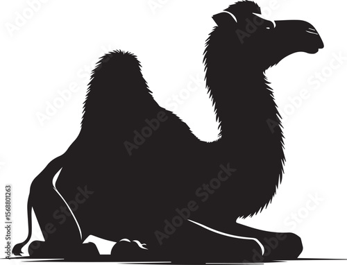 black logo camel is sitting vector, logo camel is sitting vector illustration