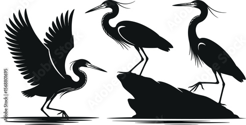 Flying and perched heron silhouette vector birds near water for wildlife and habitat graphics