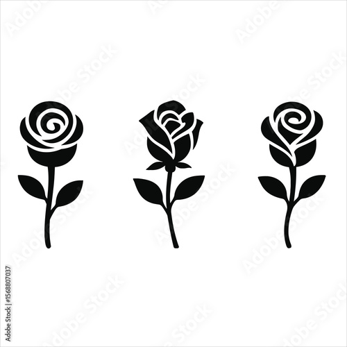 Elegant Black and White Rose Illustrations: Three Stages of Bloom
