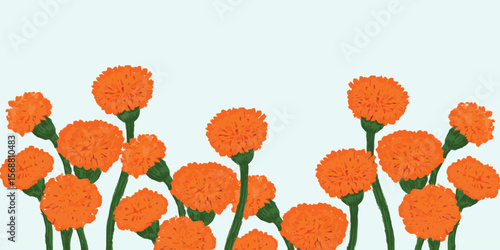 Orange marigold flowers against a light blue sky.  vector illustration. 
