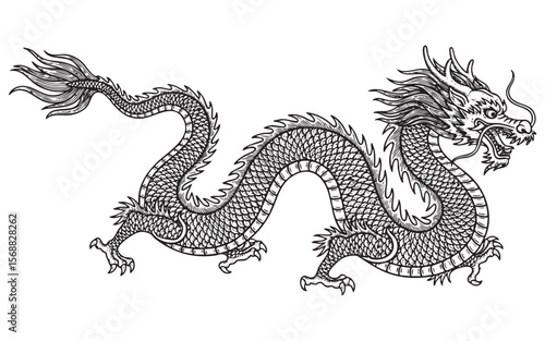 Traditional Chinese Dragon Vector Engraving Illustration