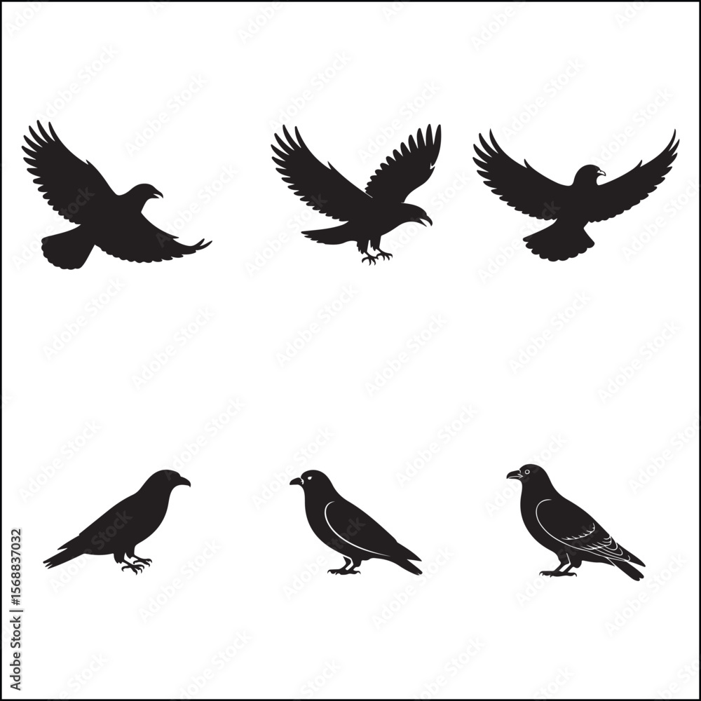 Obraz premium Silhouette Collection of Birds of Prey and Perching Birds in Flight and Standing