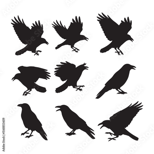 Nine Black Crow Silhouettes in Various Poses Flying Landing and Perched Different Angles and Actions Bird Illustrations Vector Graphics