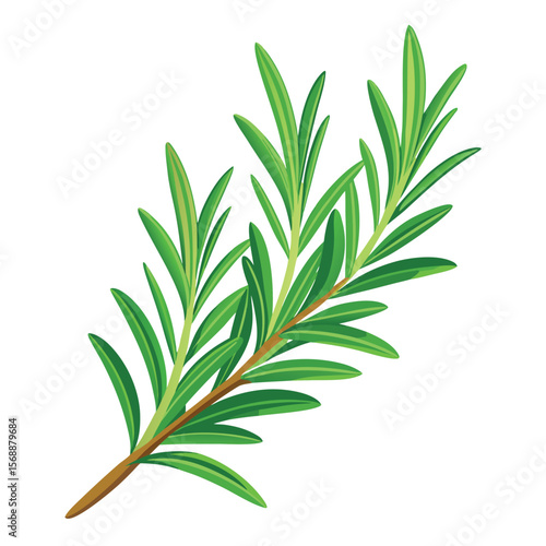 A fresh sprig of rosemary with fragrant leaves, a symbol of herbs, cooking, and healthy ingredients.