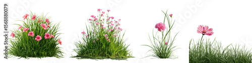 Collection of Grass and pink flowers isolated on white or transparent background