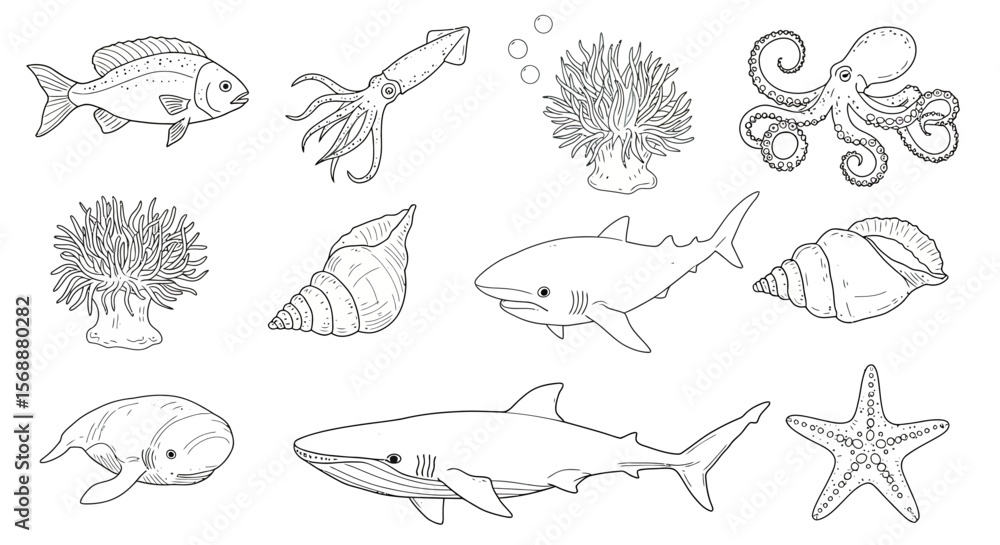 sea animals set sea animals set