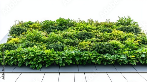 Green Roof on Commercial Building with Trees and Shrubs Isolated