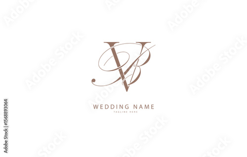 VB BV initial wedding letters logo monogram