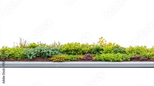 Green Roof Garden on Corporate Office Building Isolated on White Background