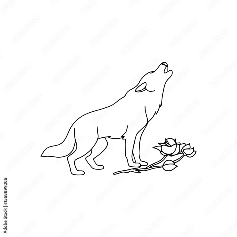 Fototapeta premium Line art of a wolf howling next to roses black and white