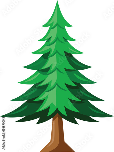 tree christmas holiday evergreen