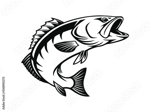 Largemouth bass fish vector, largemouth bass fish vintage vector graphic