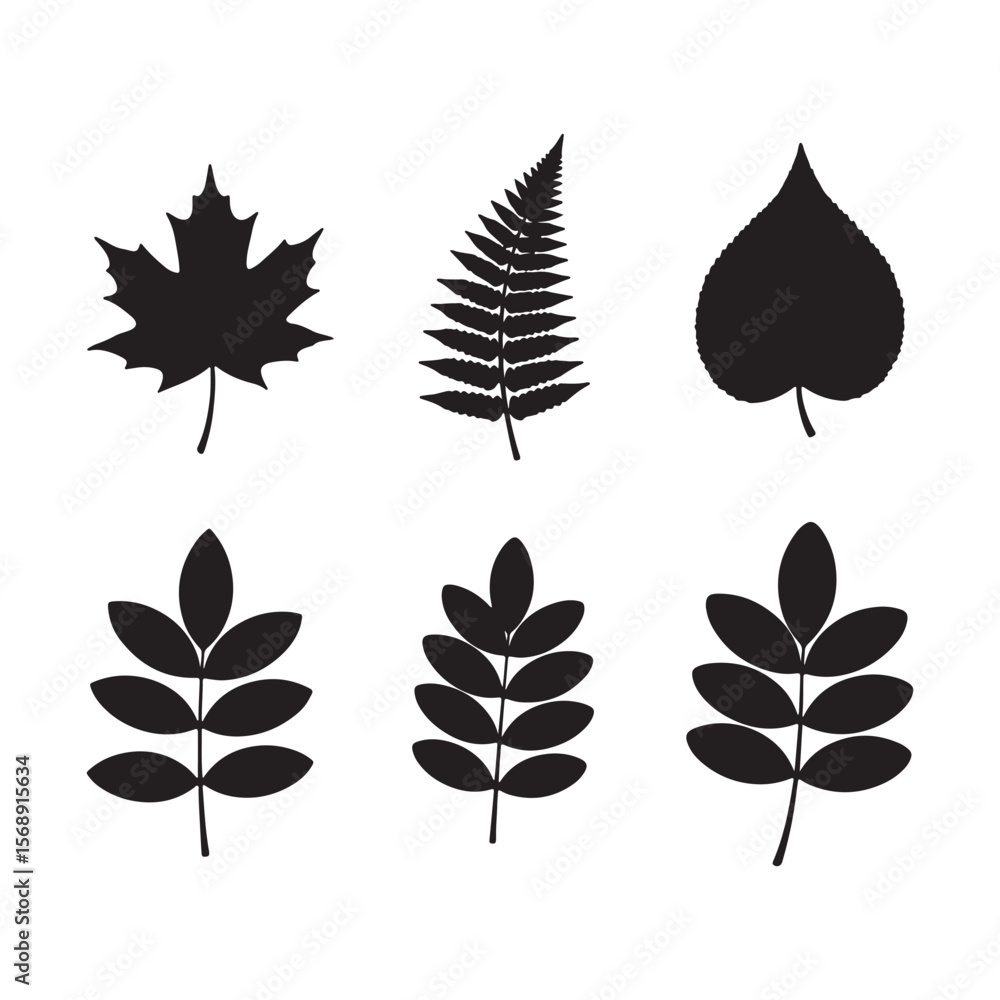 Fototapeta premium Six Black Silhouettes of Various Leaves Maple Fern Poplar and Three Compound Leaves on White Background Botanical Illustration Set