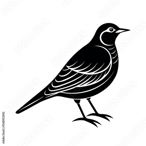 skylark