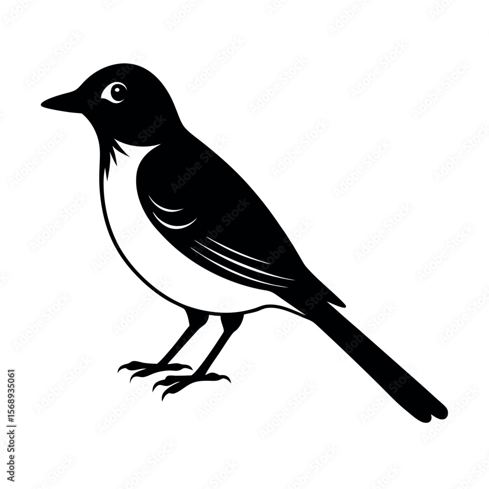 Obraz premium white eared bulbul